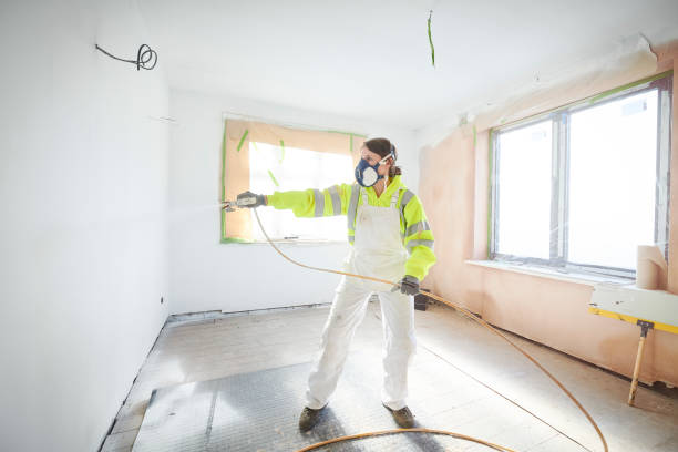 Best Mold Remediation for Vacation Homes  in Marfa, TX