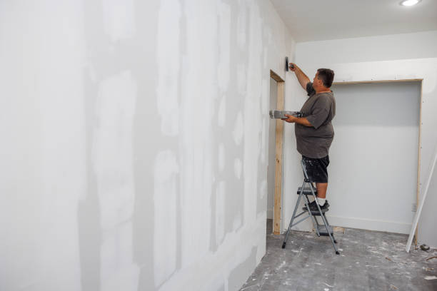 Best Comprehensive Air Testing for Mold Contaminants  in Marfa, TX